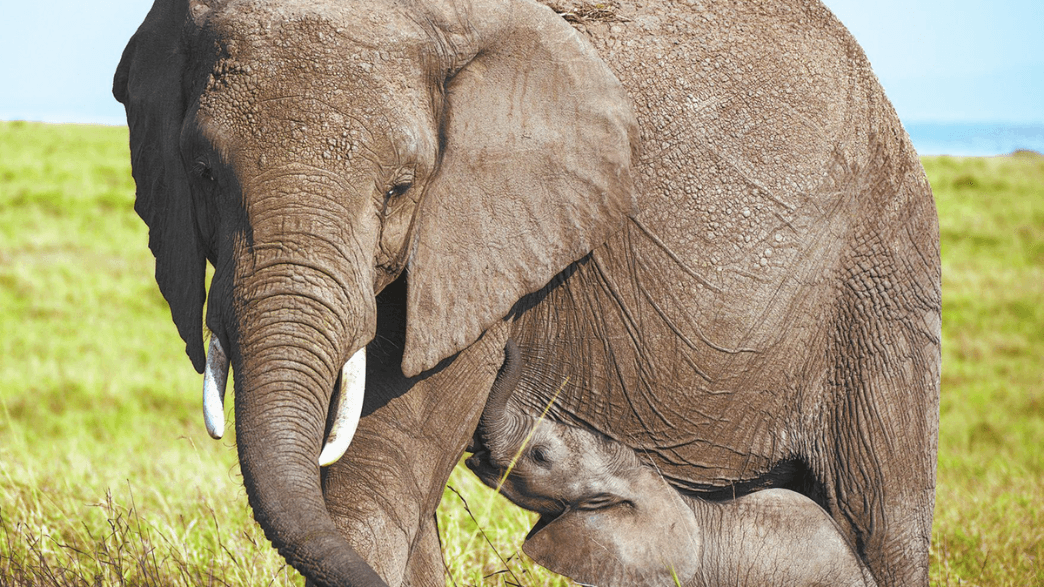 The Hidden Cost of 'Tech Freedom': Why China's Digital Expansion Isn't About Openness, It's About Control