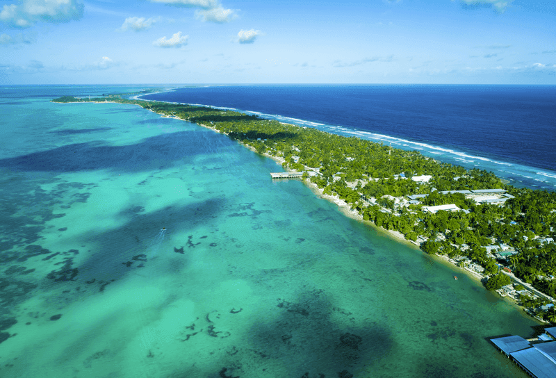 The Accidental Biologist: How One Geologist Unlocked an Entire Branch of Life Hiding Beneath Our Feet - Image 2