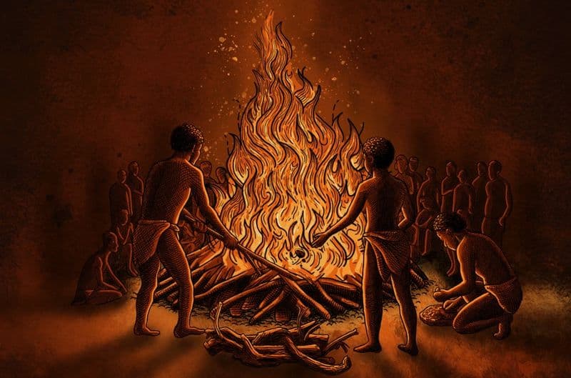 The Accidental Biologist: How One Cave Trip Unlocked a Hidden Ecosystem and Redefined Life Itself - Image 2