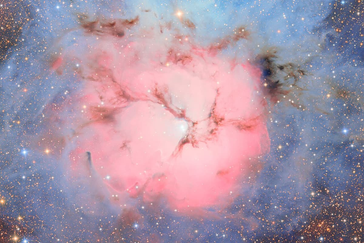 The Billion-Dollar Lie Hidden Inside Your 'Feel-Good' Science Fixes of 2025