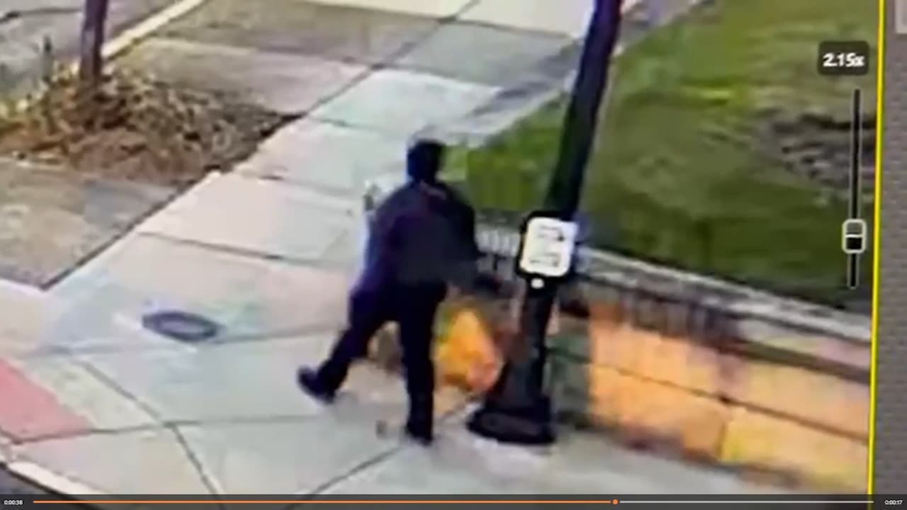 The Hidden Cost of '2026 Goals': Why Hispanic Federation's Maternal Health Push Masks a Deeper Political Crisis - Image 4