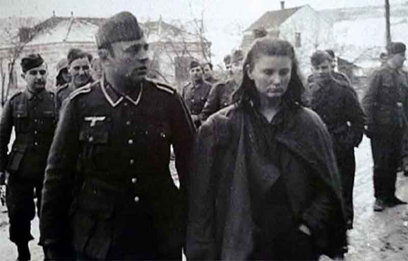 The Hidden Cost of Pasteur: Why Modern Medicine Still Worships a Flawed 19th-Century God - Image 3