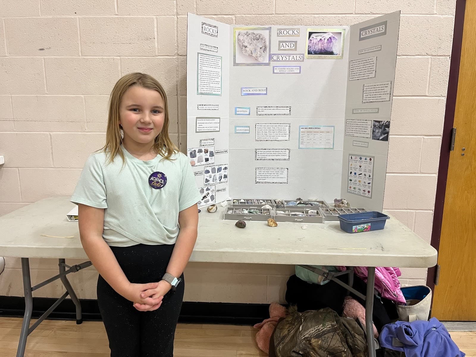 The Quiet Collapse: Why Local Science Fairs Are the Last Line of Defense Against Mediocrity - Image 1