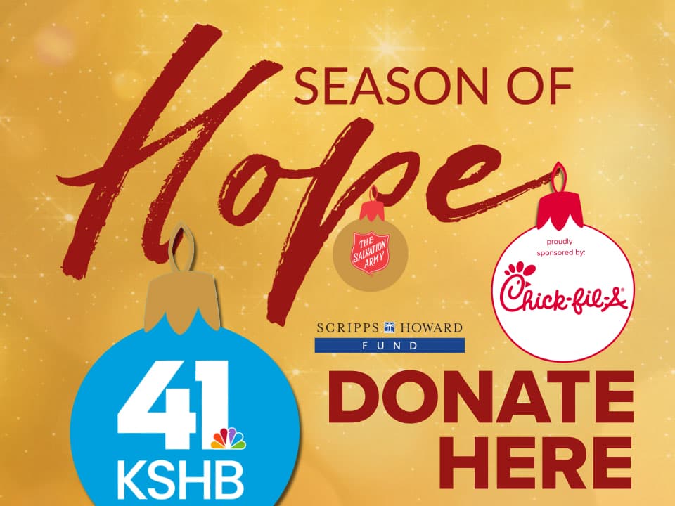 The Surveillance State's Trojan Horse: Why Blue Springs' 'Flock Safe City' Drone Tech Is a Dangerous Precedent - Image 6