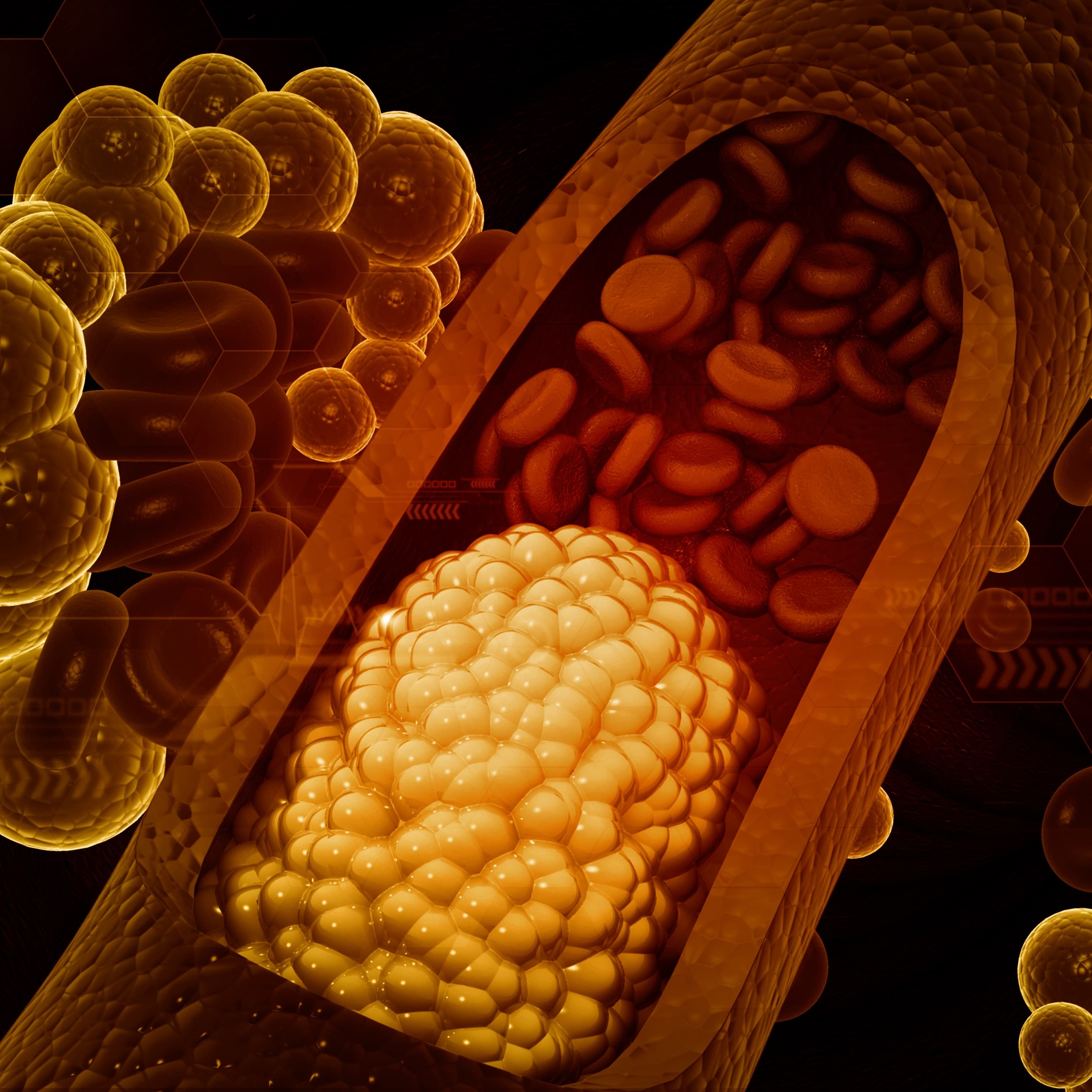 The Vitamin D Mirage: Why Your Supplement Isn't Stopping Your Heart Attack (And Who's Profiting) - Image 5