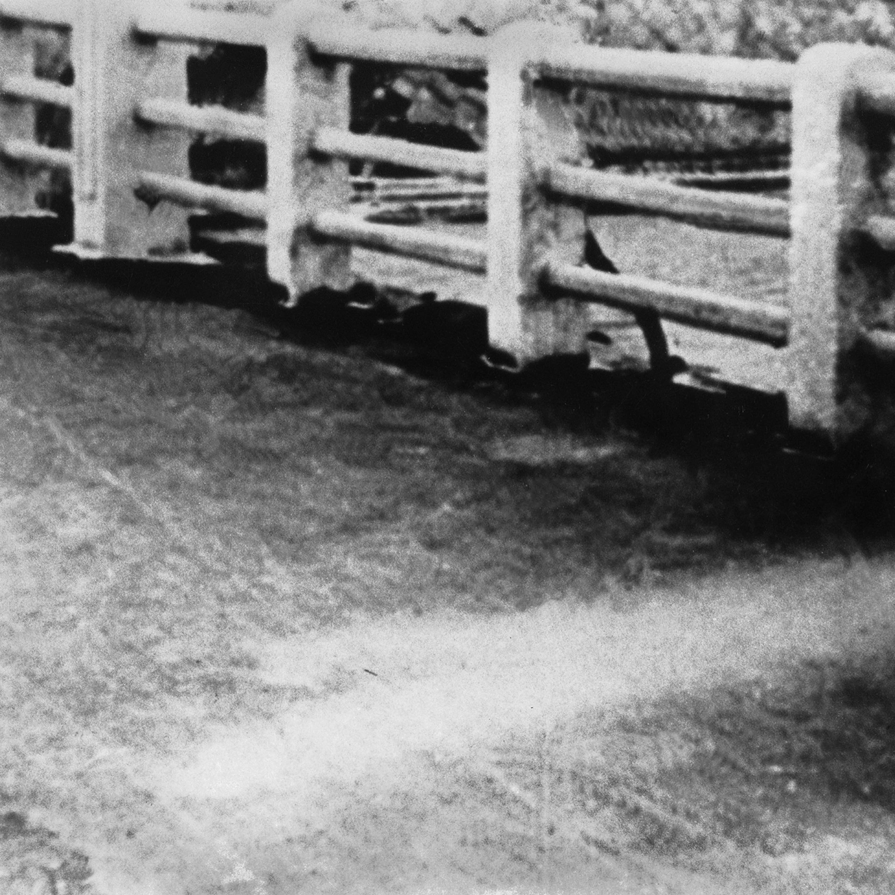 The Invisibility Cloak Is Here: Why Military Budgets—Not Hollywood—Will Fund the End of Privacy - Image 4