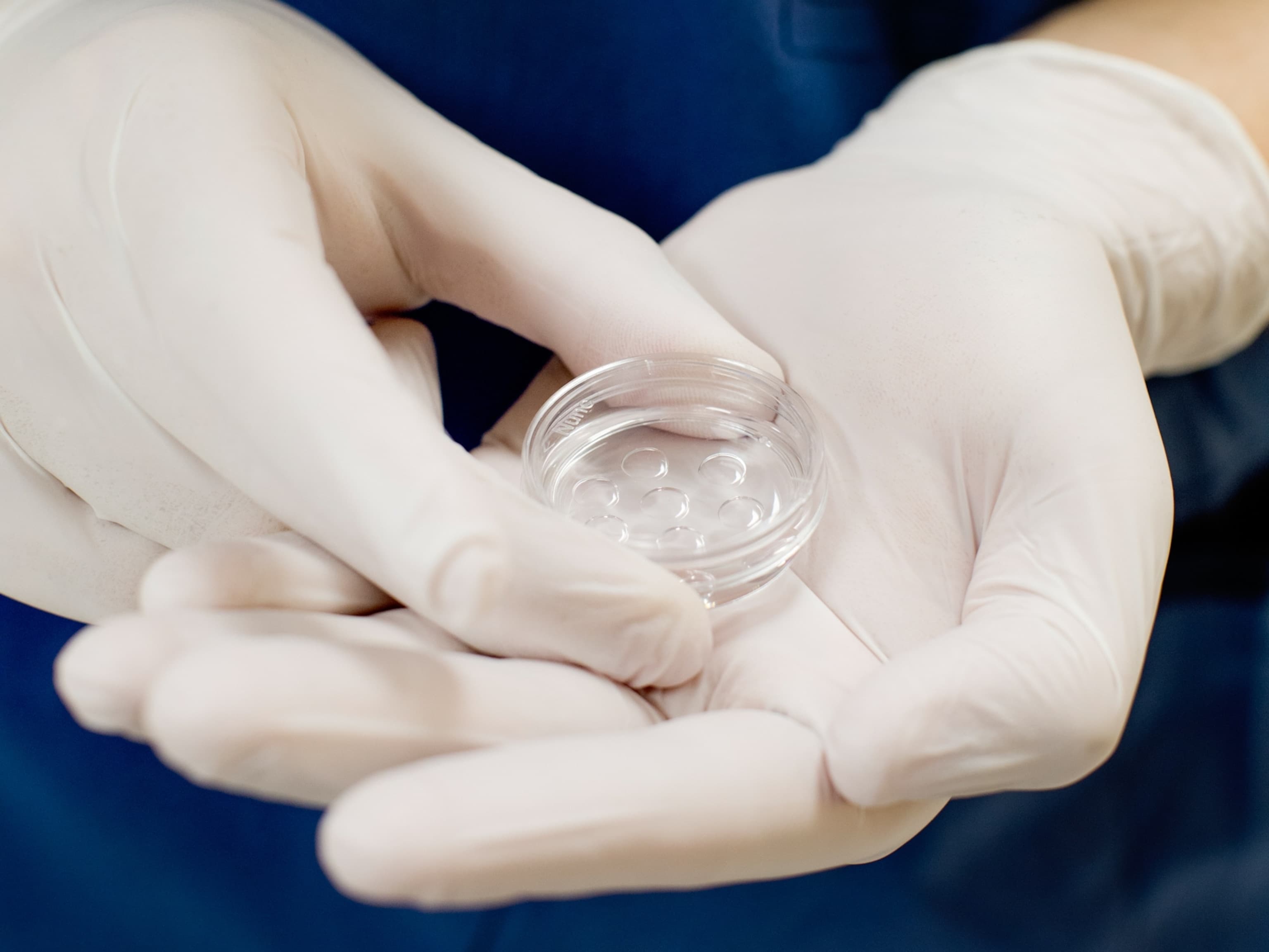 The Hidden Cost of 'Smart Travel': Why Your Next Vacation Will Feel More Like a Corporate Audit - Image 6