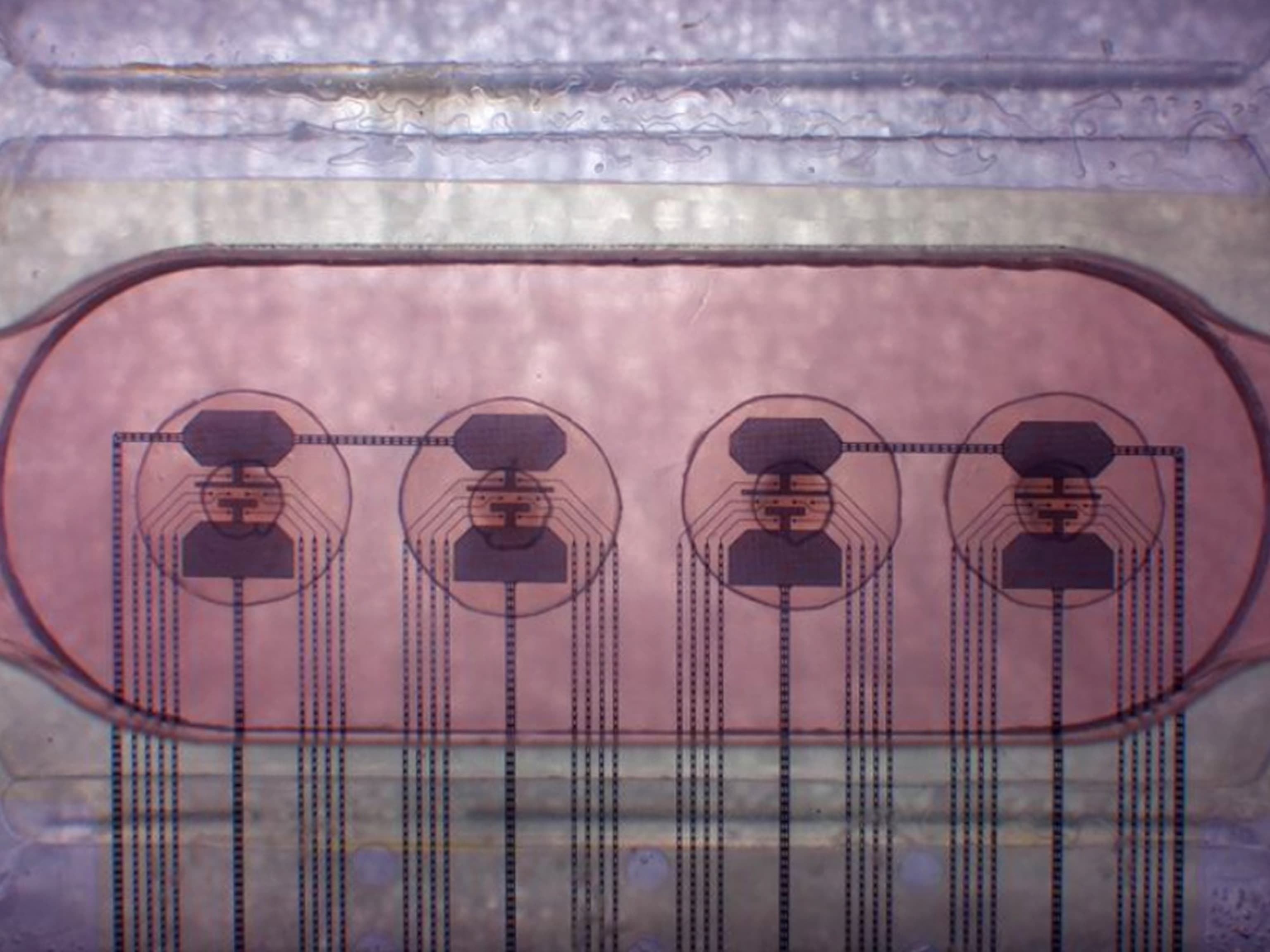 The Hidden Cost of 'Smart Travel': Why Your Next Vacation Will Feel More Like a Corporate Audit - Image 8