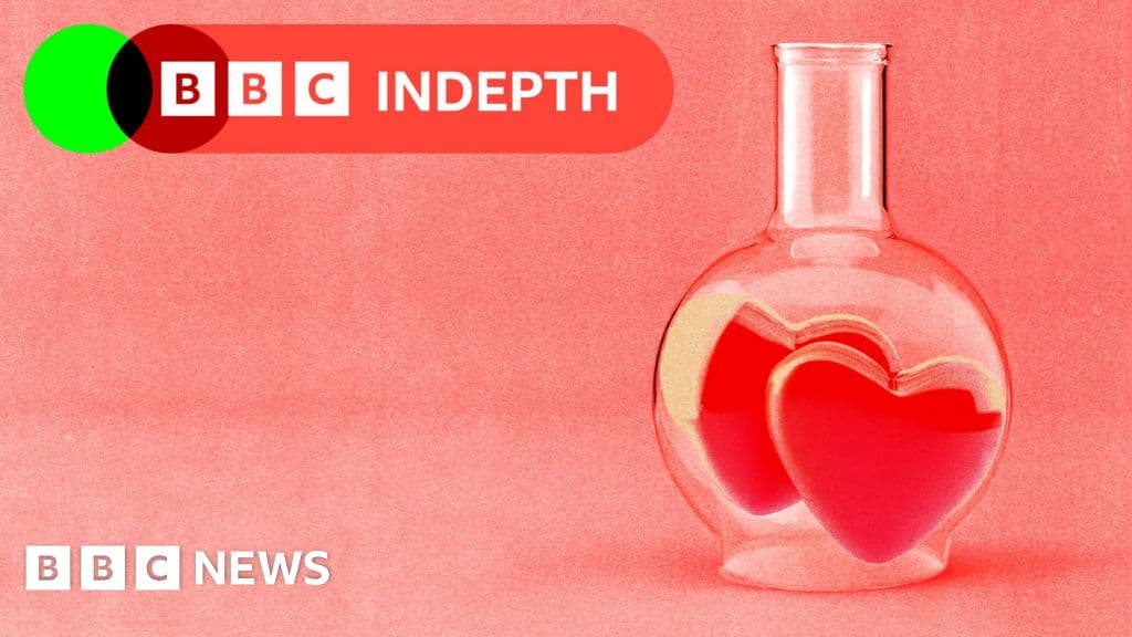 The Soulmate Lie: How Science Is Weaponizing Romance to Keep You Single