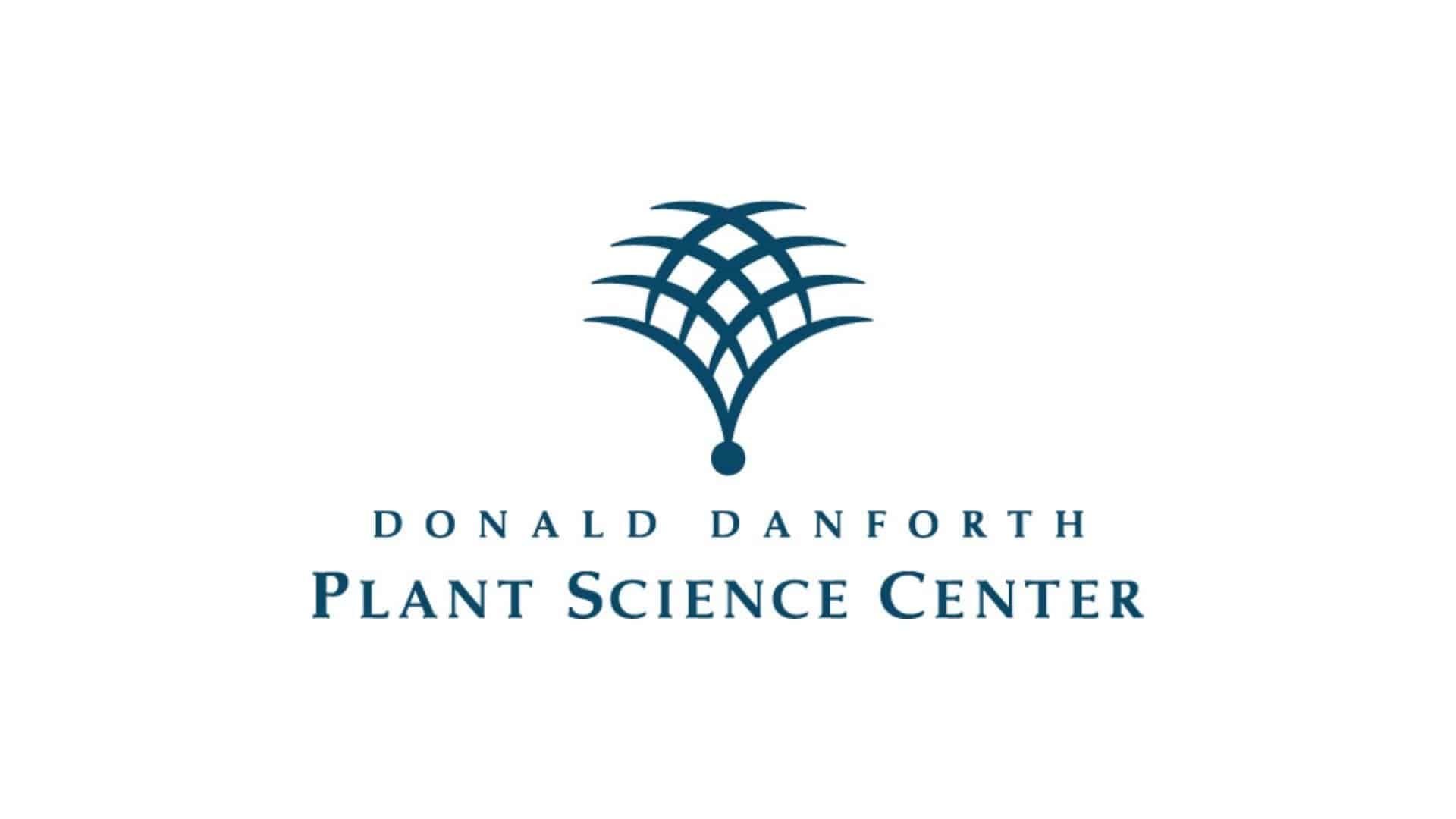 The Hidden Cost of Rwanda's 'Green Revolution': Why Danforth's Biotech Play Isn't About Charity