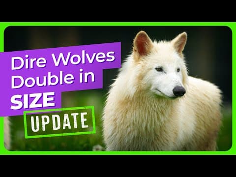 The Hidden Cost of T. Rex Miniatures: Why 'Tiny Dinosaurs' Signal a Crisis in Paleontology Funding - Image 1