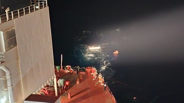 The Lithium Lie: Why Emerging Battery Tech Will Bankrupt Shipping While Saving No One - Image 4