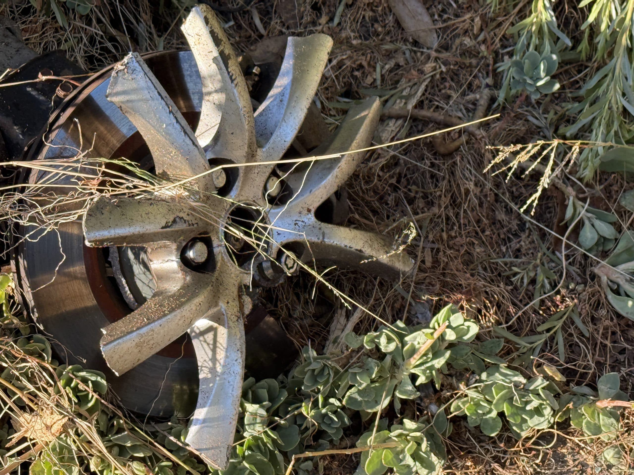 The Crisis of Conscience: Why Oakland's Mental Health Transfer Request Reveals a System Built to Fail