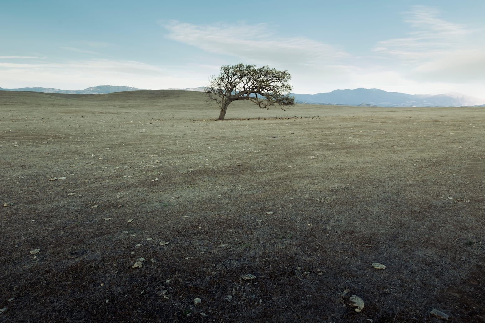 The Climate Data Conspiracy: Why the 2025 'Insights' Are Designed to Keep You Complacent