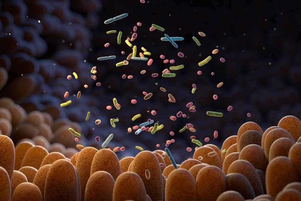 The Gut Microbiome Is Broken: Why Analytical Chemistry, Not Diet Gurus, Holds the Real Power