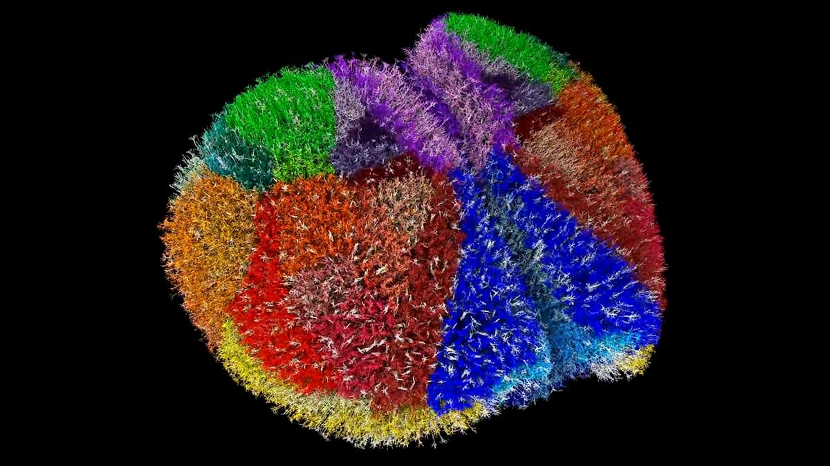 The Digital Ghost in the Machine: Why This 'Realistic' Virtual Brain Is a Billion-Dollar Trojan Horse