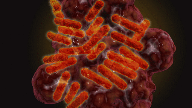 The Cosmic Lie: Why That 'Galactic Tornado' Isn't Just Space News, It's a Blueprint for Planetary Collapse - Image 6