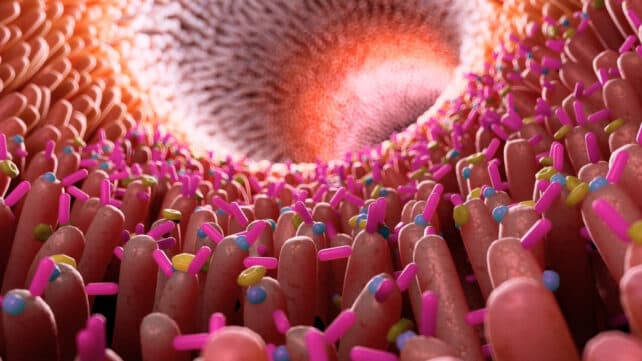 The Alzheimer's Lie: Why Your Gut Bacteria Are the Real Billion-Dollar Target - Image 1