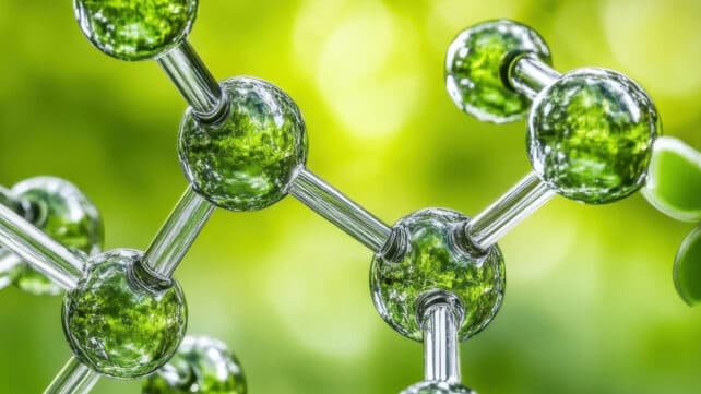 The Hidden Cost of Fungal Cures: Why That 'Anti-Cancer Compound' Isn't Coming to Your Pharmacy Soon - Image 4