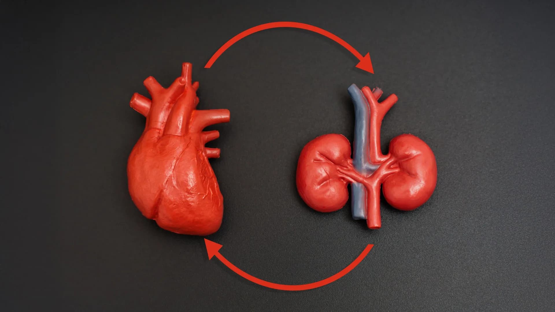 The Silent Epidemic: Why 'Near-Universal' Health Syndrome Is Actually a Crisis of Modern Living