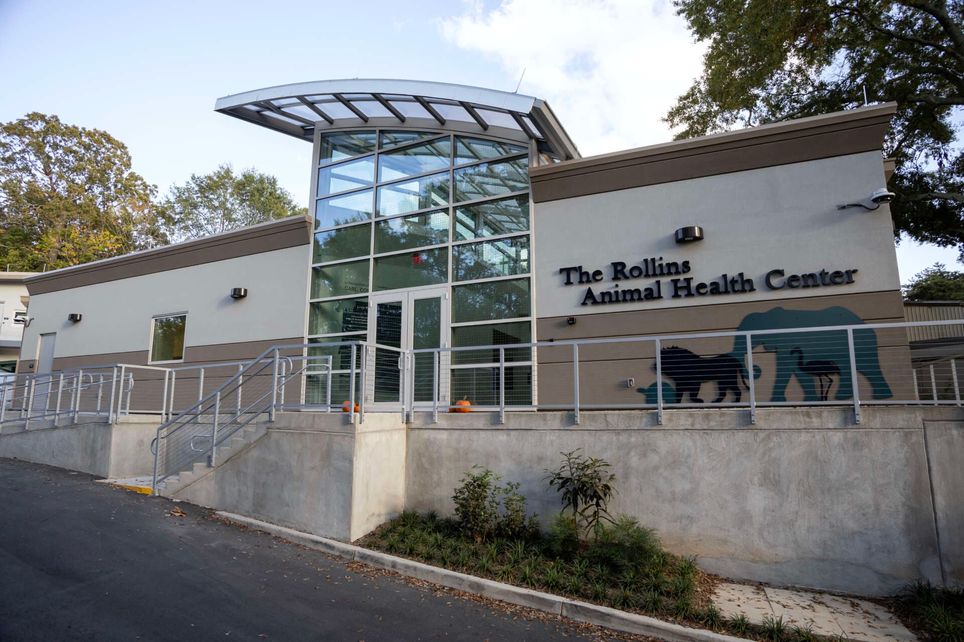 The Zoo's Hidden Power Play: Why Your Local Animal Health Center is the Real Future of Medical Research