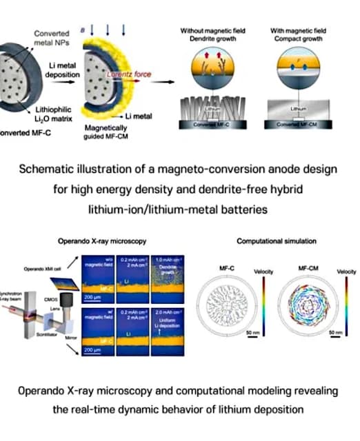 The South Korean Battery Secret: Why Silicon Anodes Are EVs' Last Hope (And Who Gets Left Behind) - Image 1