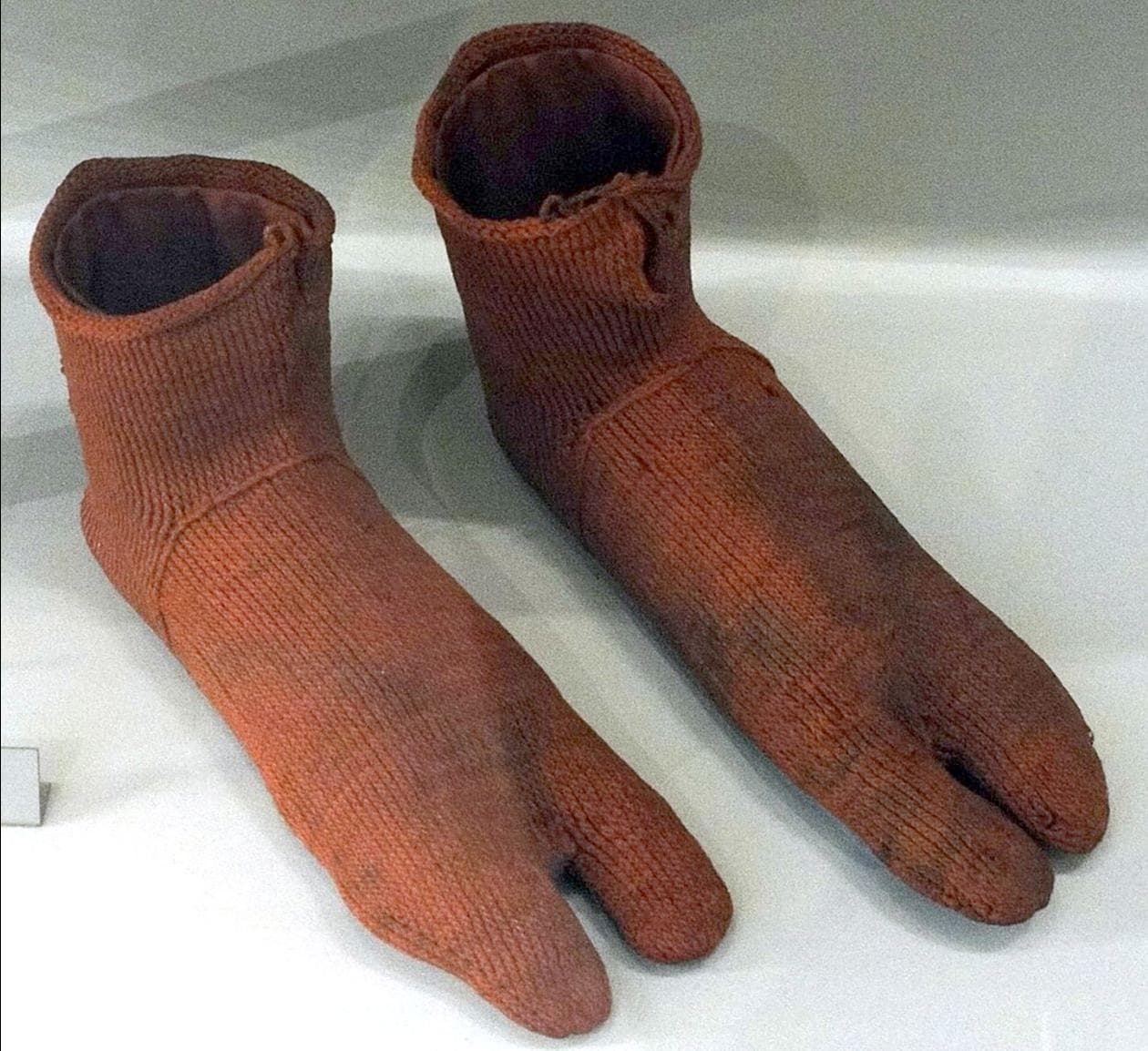 The Hidden Cost of 'Accelerated Science': Who Is Really Cashing In on the Research Gold Rush? - Image 1