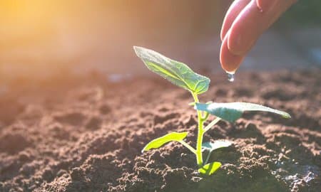 The Hidden Cost of 'Humane Tech': Why Academic Animal Monitoring is the Next Big Data Grab - Image 5