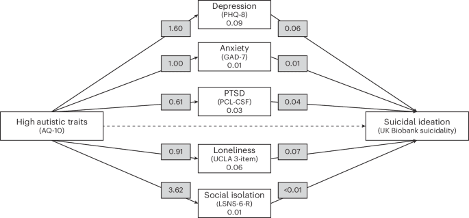 The Silent Epidemic: Why 'High-Functioning' Autism is a Death Sentence in Later Life