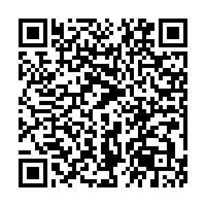 The Silicon Valley of Poultry: Why 'Perfect' Peking Duck Is Now a Scientific Conspiracy, Not Culinary Art - Image 1