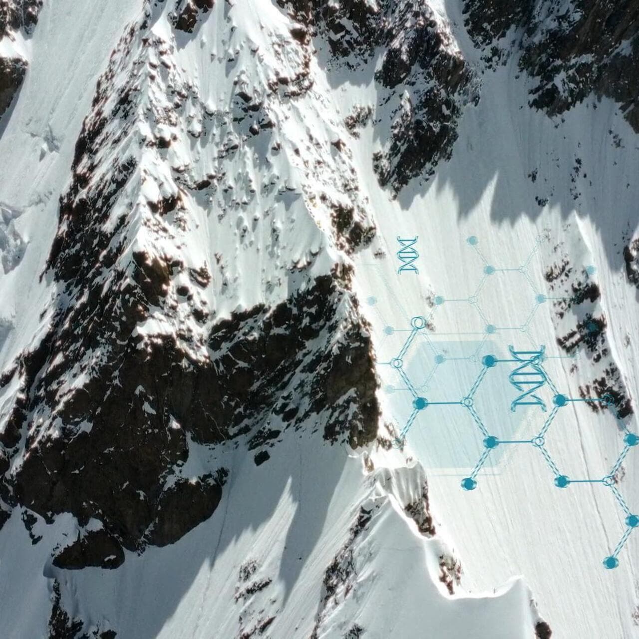 The Glacier Lie: Why Saving Ice Caps is a Distraction from the Real Climate Catastrophe - Image 3