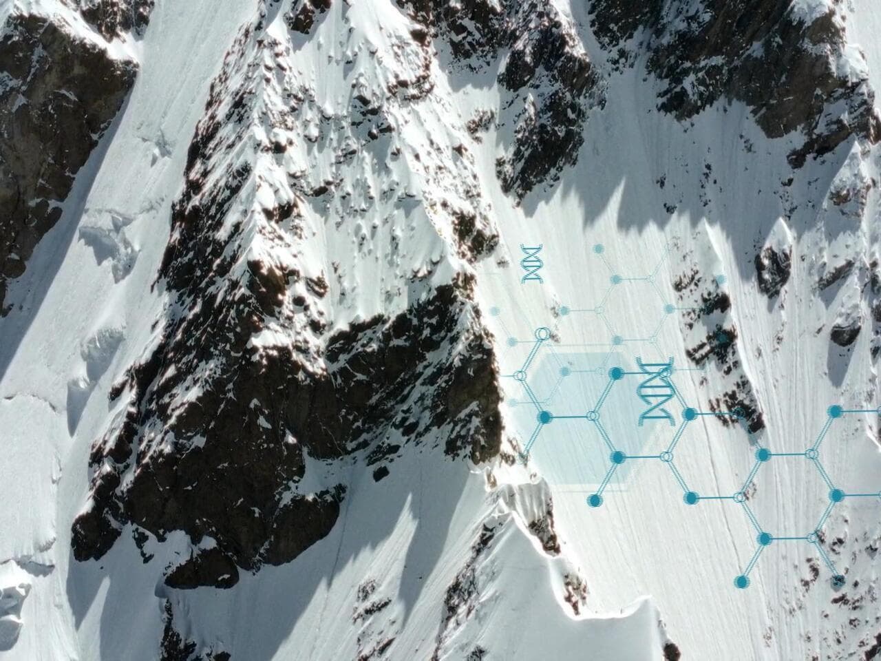 The Glacier Lie: Why Saving Ice Caps is a Distraction from the Real Climate Catastrophe - Image 1