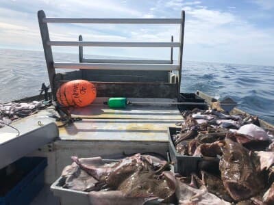 The Hidden War Over Louisiana's Menhaden: Why 'Science' is Just the First Casualty - Image 3