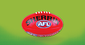 The Burnie Health Hub Lie: Why Doctors Say the New Facility Will 'Cannibalise' Essential Care - Image 6