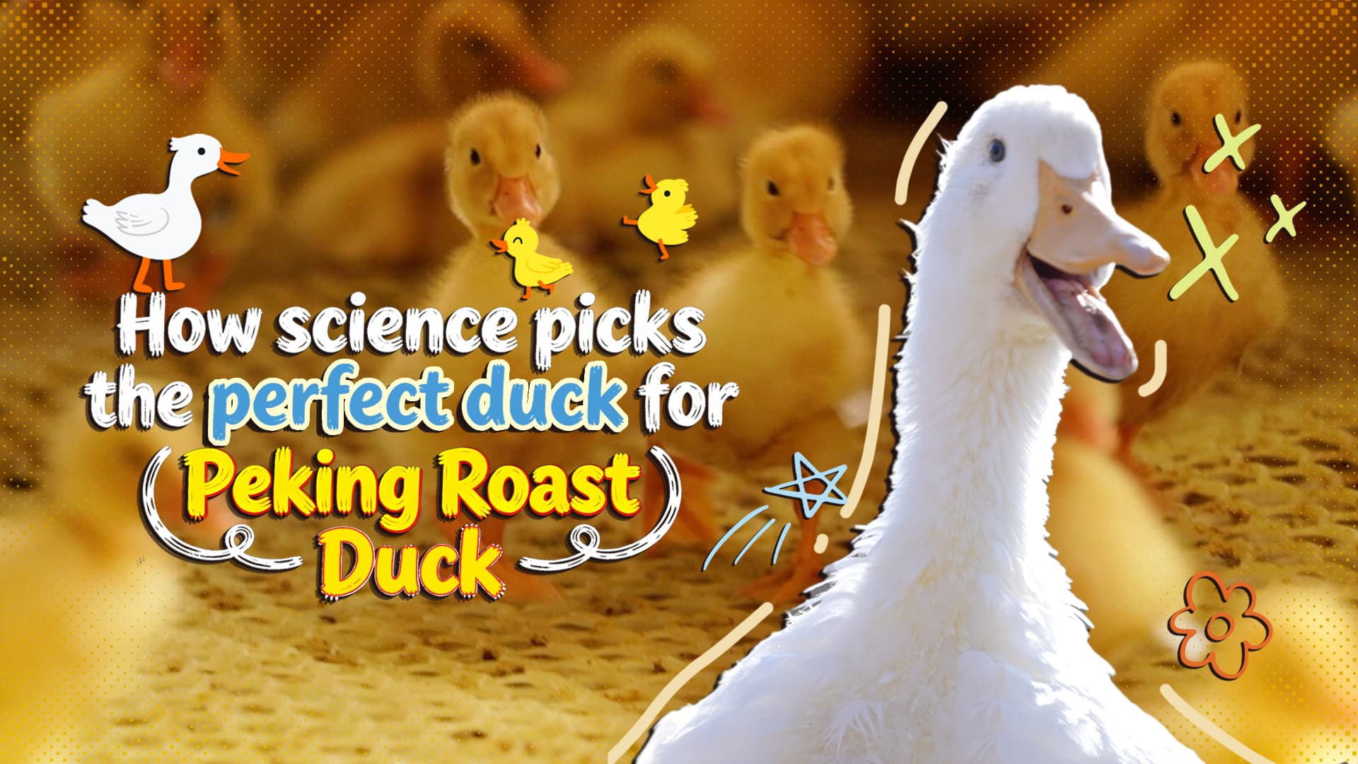 The Silicon Valley of Poultry: Why 'Perfect' Peking Duck Is Now a Scientific Conspiracy, Not Culinary Art - Image 2