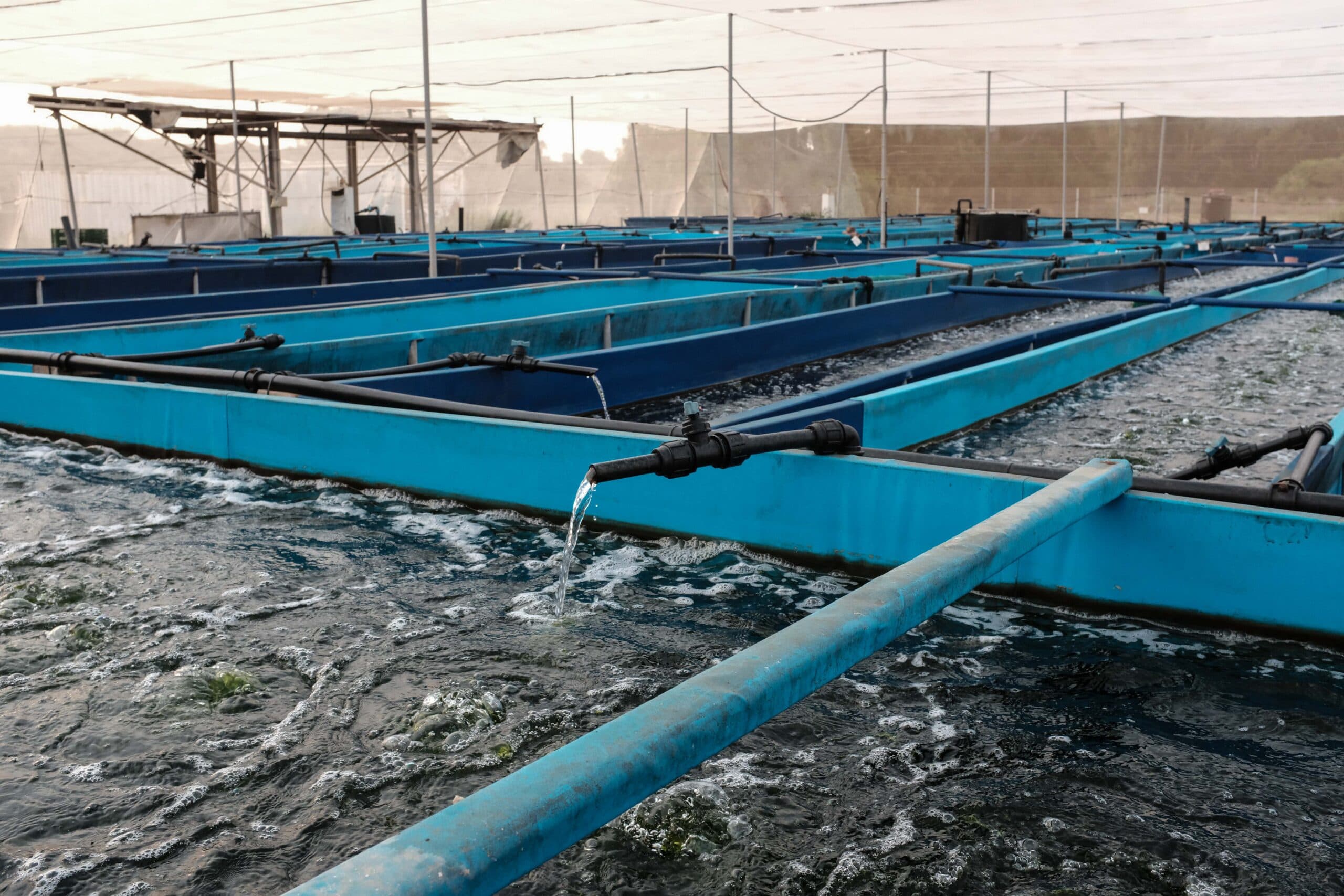 The Desert Thirst Trap: Why Israeli Water Tech is Iran's Secret Geopolitical Lifeline